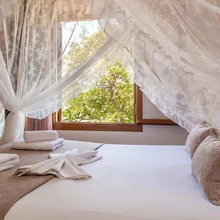 公寓 Santa Elena Boutique